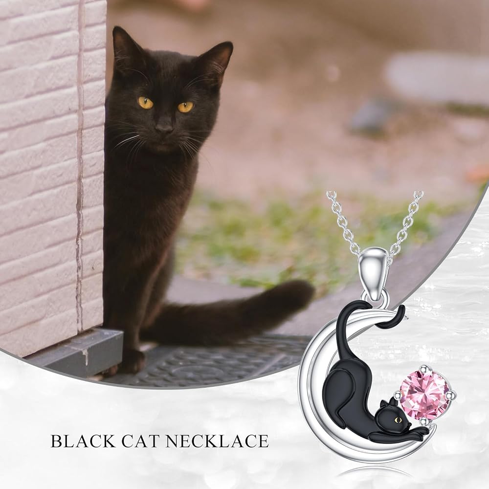 Amazon.co.jp: LONAGO 黒猫誕生石ネックレス 月に猫 ペンダント